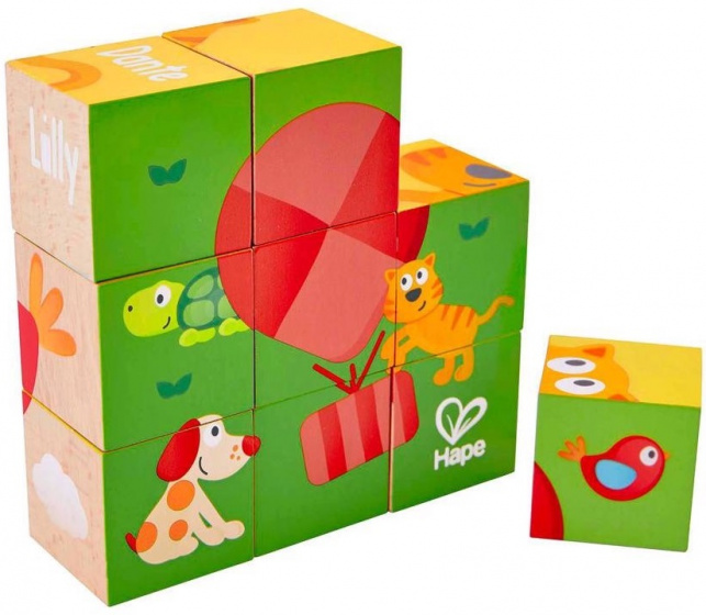 Hape blokkenpuzzel friendship junior hout 9-delig
