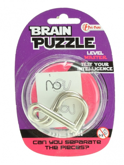 Toi-Toys hersenkraker brain puzzle master zilver